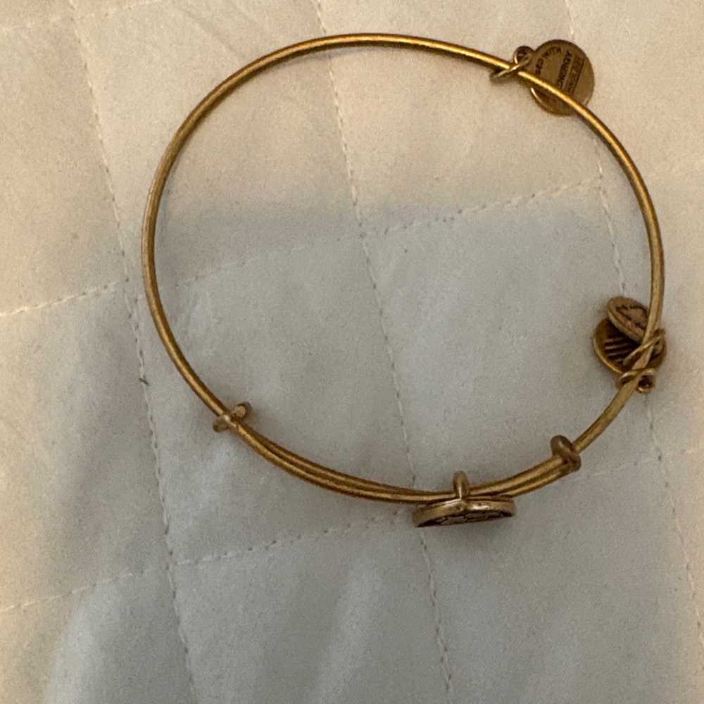 Alex and Ani Gold Bangle Bracelet